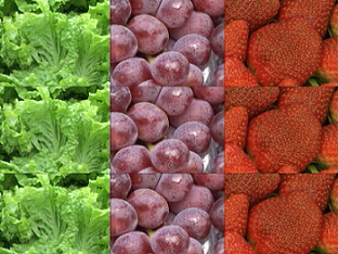 Nutrición sana en cualquier momento del año